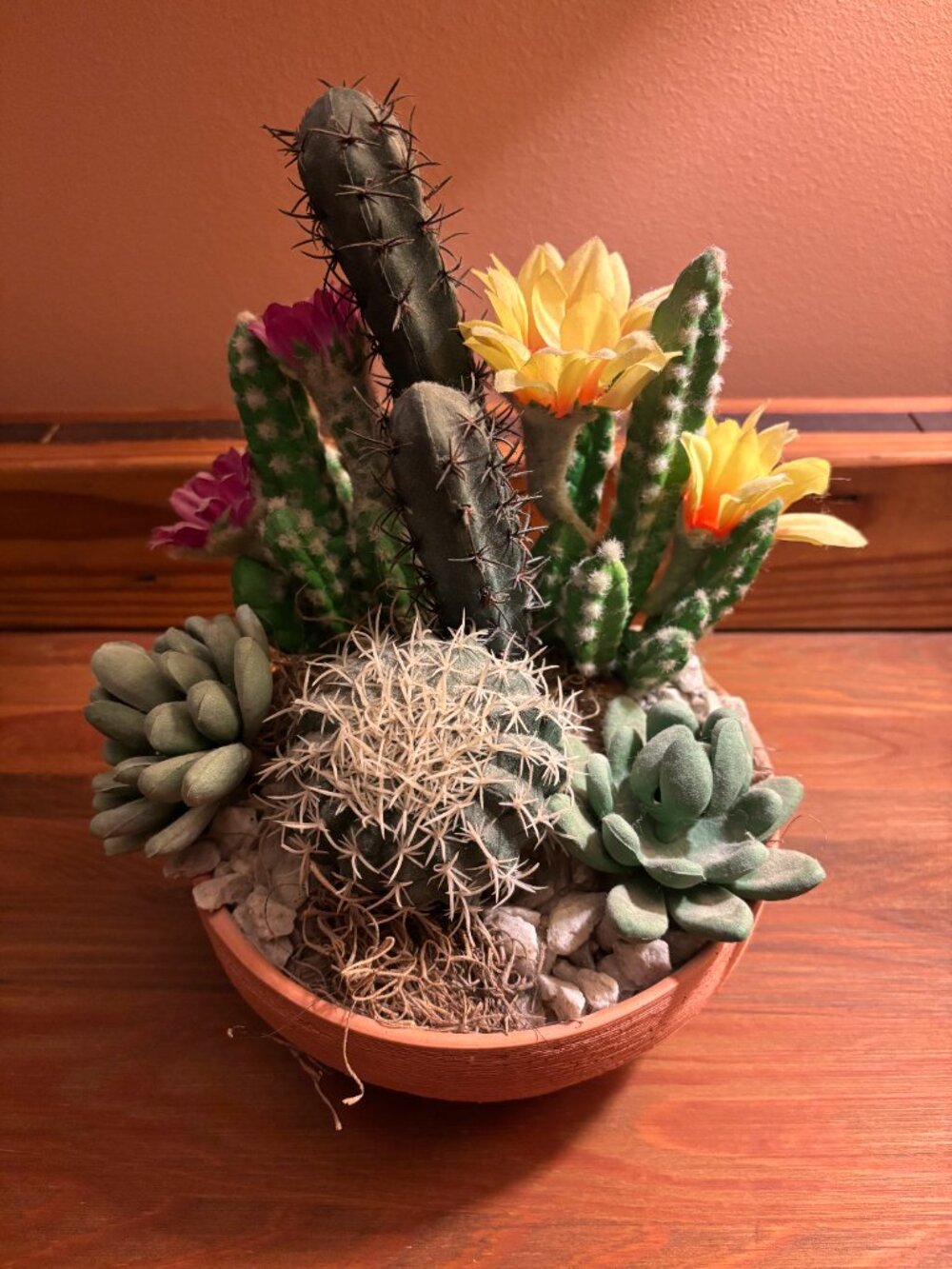Faux Cactus Desert Dish Garden in Terracotta Planter (Petals Brand)